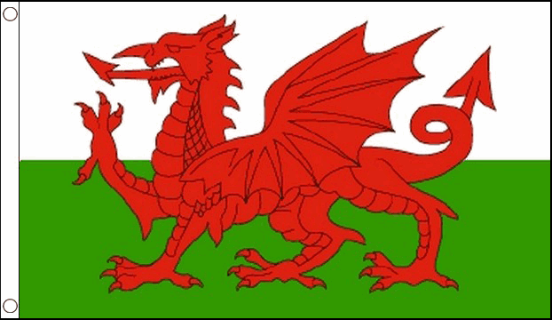 Wales-Courtesy-Boat-Flags