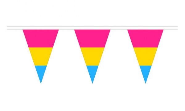 Pansexual Triangle Bunting