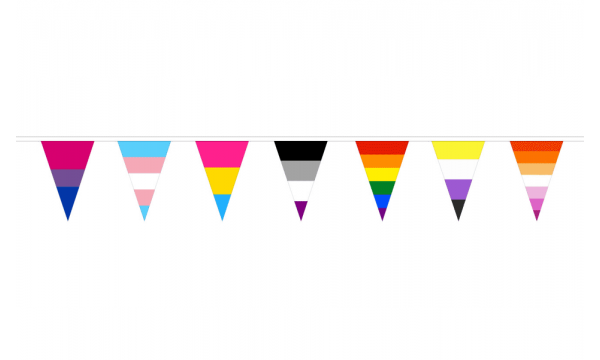 Pride Mixed Identity Triangle Bunting
