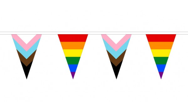 Progress Pride And Rainbow Alternating Triangle Bunting