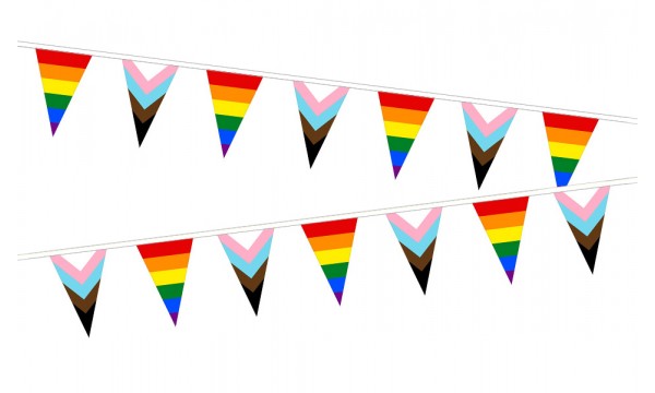 Progress Pride And Rainbow Alternating Triangle Bunting