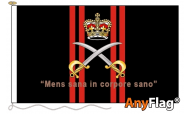 Army Physical Training Corps Style B Flags