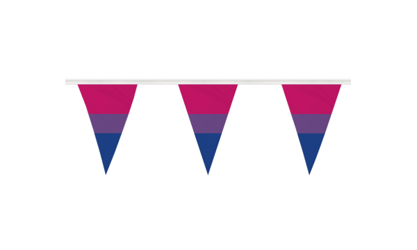 Bi-Pride Bunting