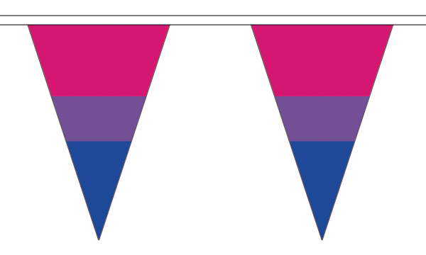 Bi-Pride Triangle Bunting