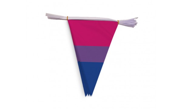 Bi-Pride Bunting