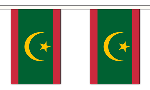 Mauritania New Bunting