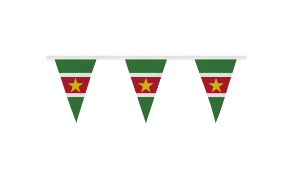 Suriname Bunting