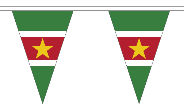 Suriname Triangle Bunting