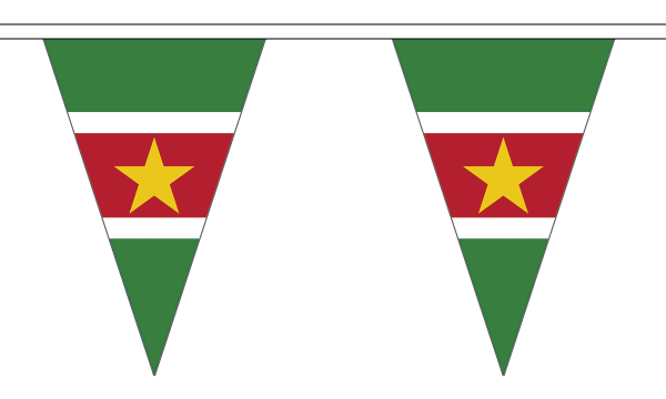 Suriname Bunting