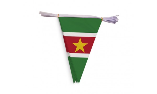 Suriname Bunting