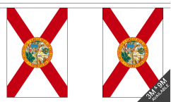 Florida Bunting