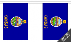 Kansas Bunting