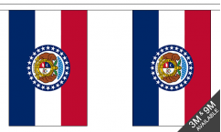 Missouri Bunting