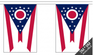 Ohio Bunting