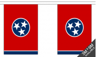 Tennessee Bunting