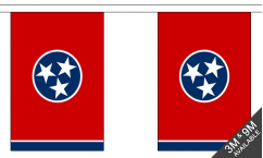 Tennessee Bunting