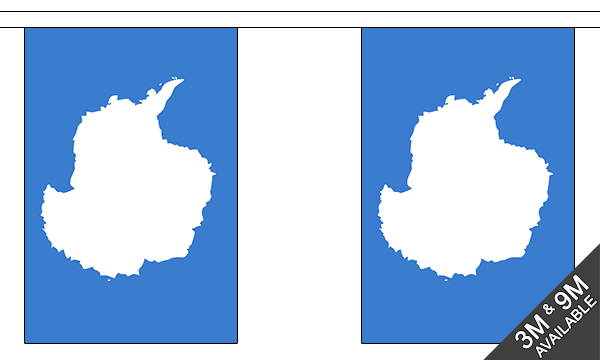 Antarctica Bunting