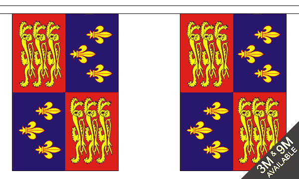 Royal Banner 16th Century Bunting