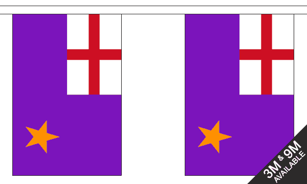 Purple Standard Bunting