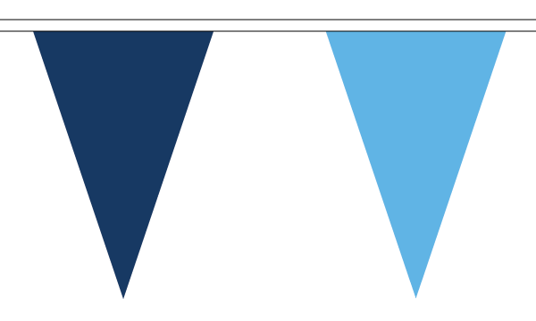 Navy and Sky Blue Triangle Bunting