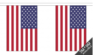 American Bunting