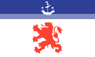 Devon Lion Flags