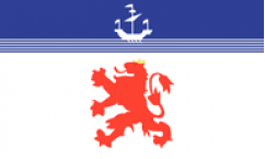 Devon Lion Flags