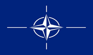 NATO Flags