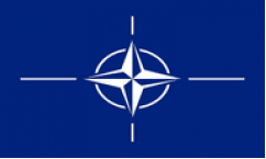 NATO Flags