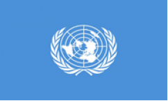 United Nations Flags