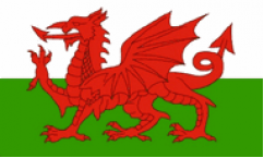 Welsh Flags