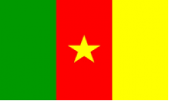 Cameroon Flags