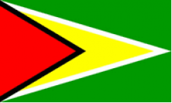 Guyana Flags