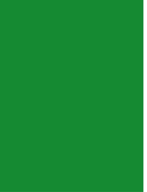 Limerick Flags