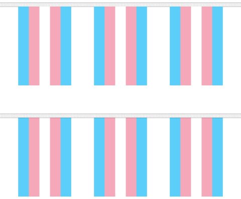 Transgender (New) Bunting