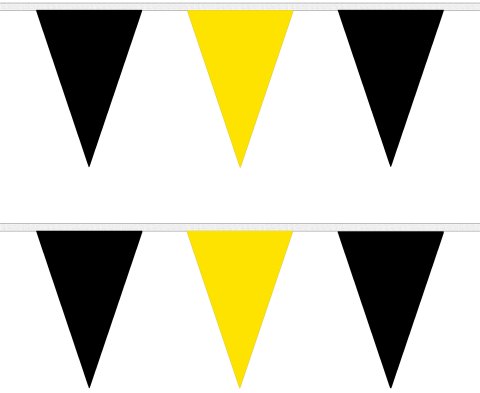 Black and Yellow Bunting