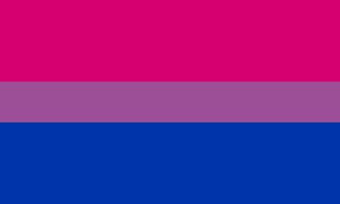 Bi-Pride Coffin Drape Flag