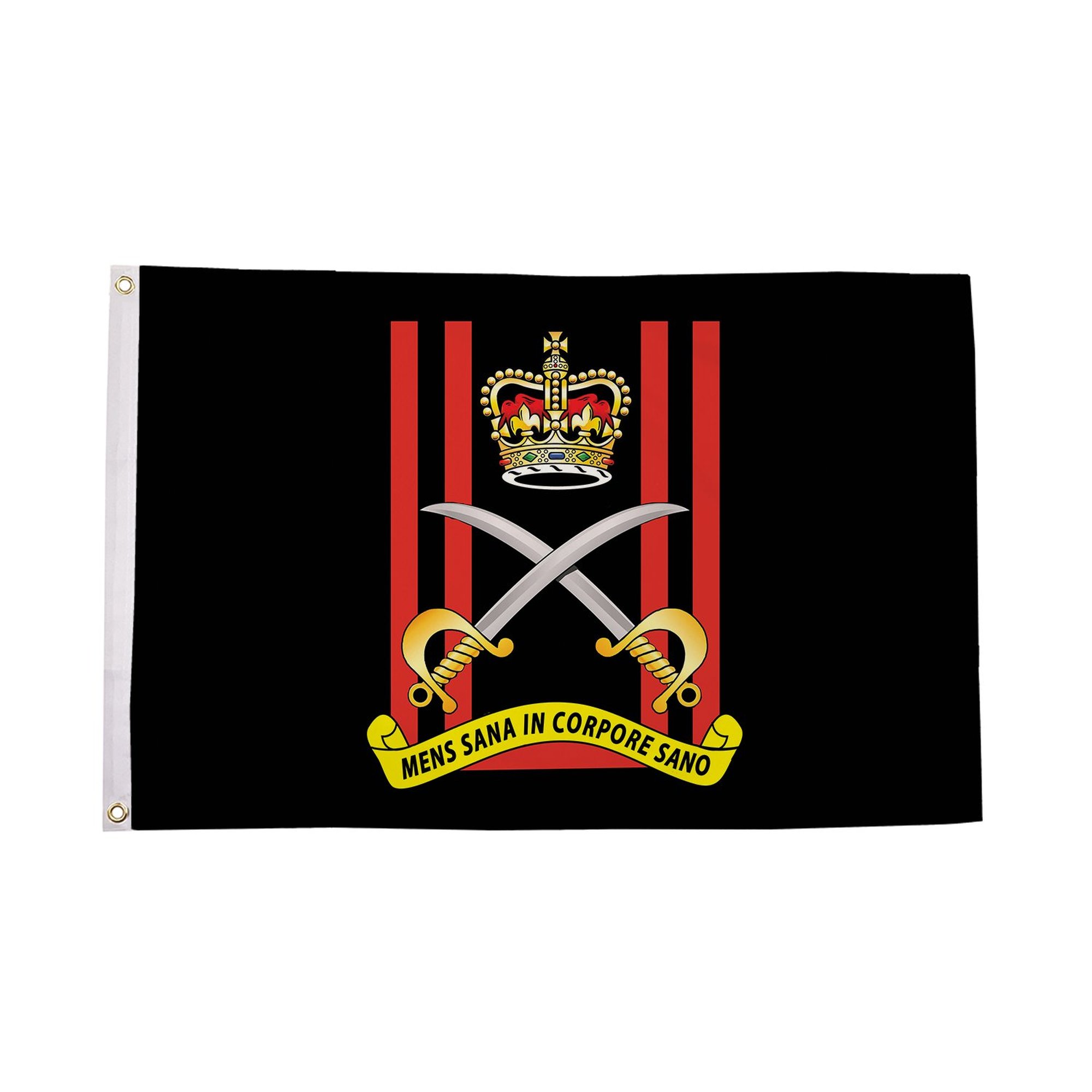 Army Physical Training Corps Flag