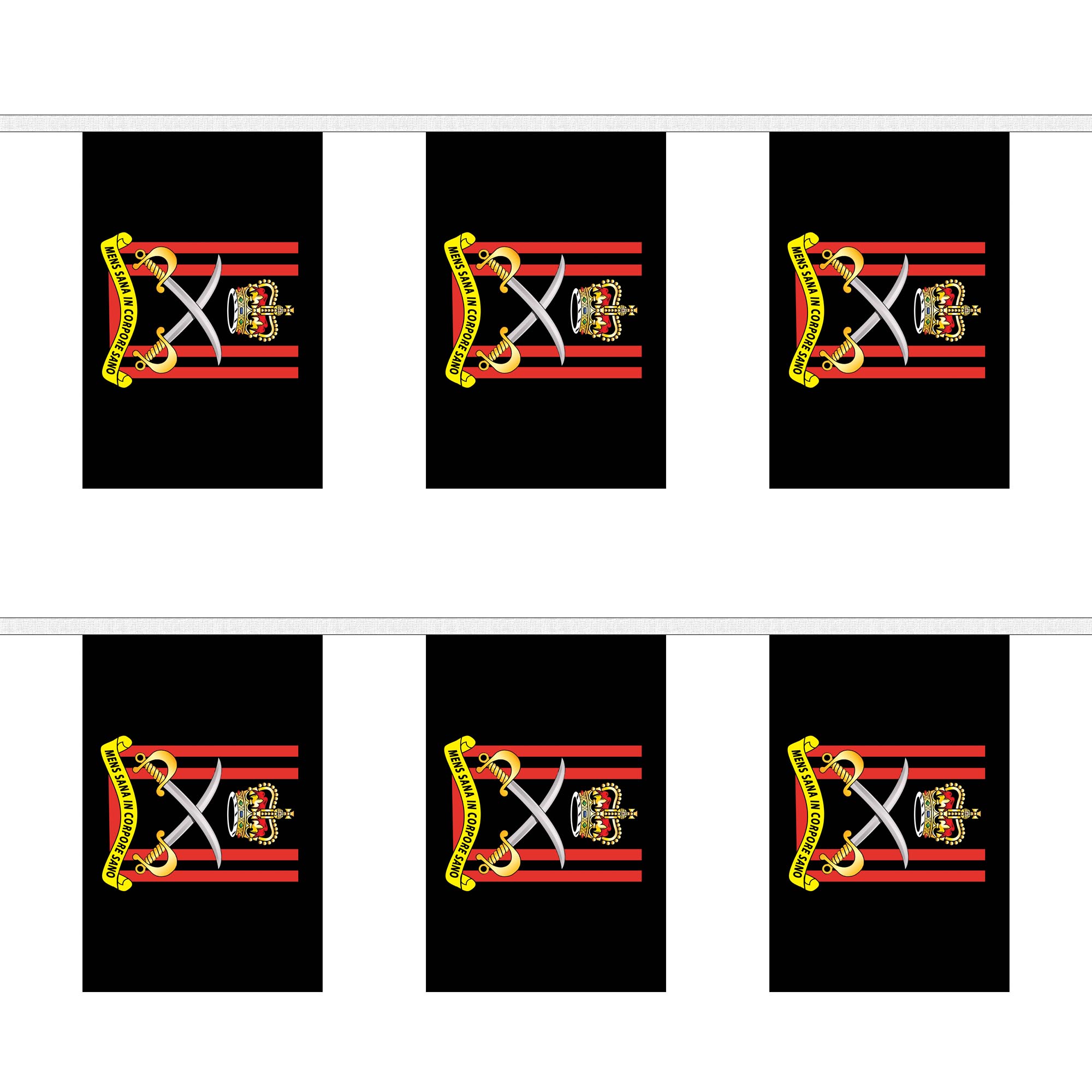 Army Physical Training Corps Rectangular Bunting