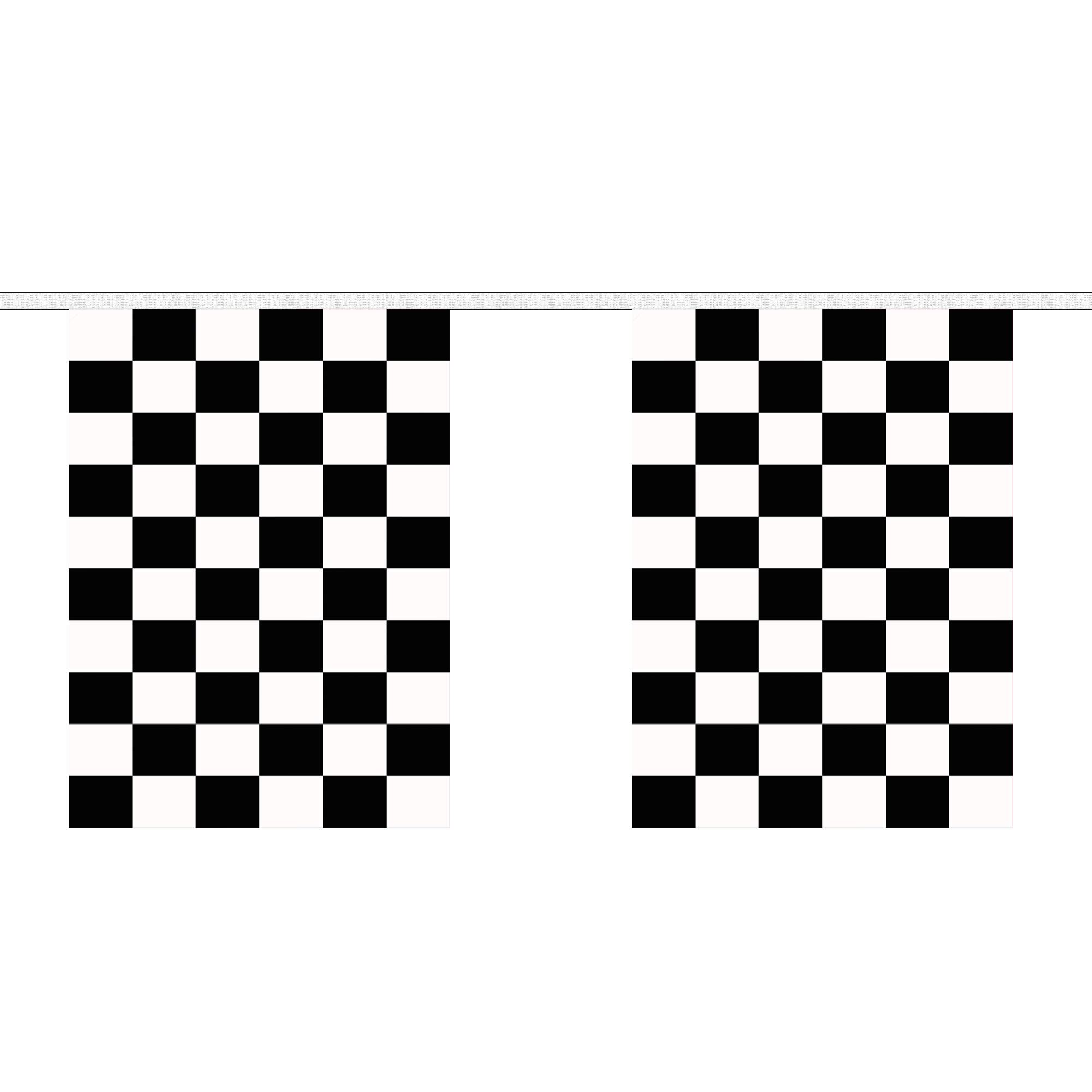 Black and White Check Giant Bunting