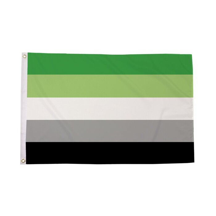 Aromantic Flag