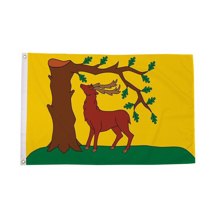 Berkshire New Flag