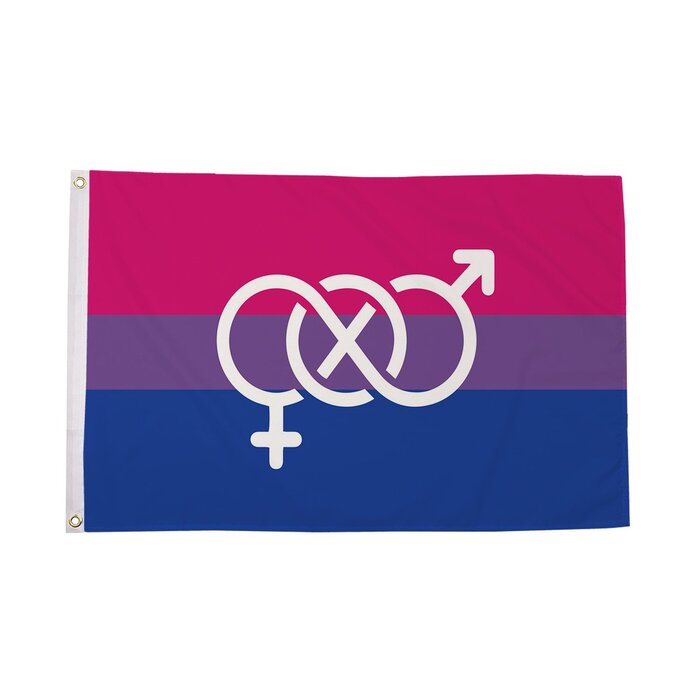 Bi-Pride Symbol Flag