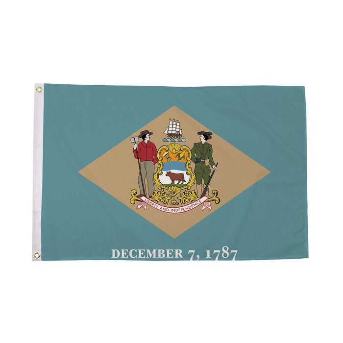 Delaware Flag