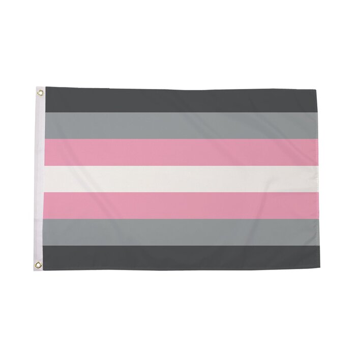 Demigirl Flag