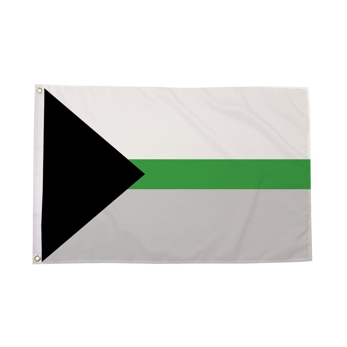 Demiromantic Flag