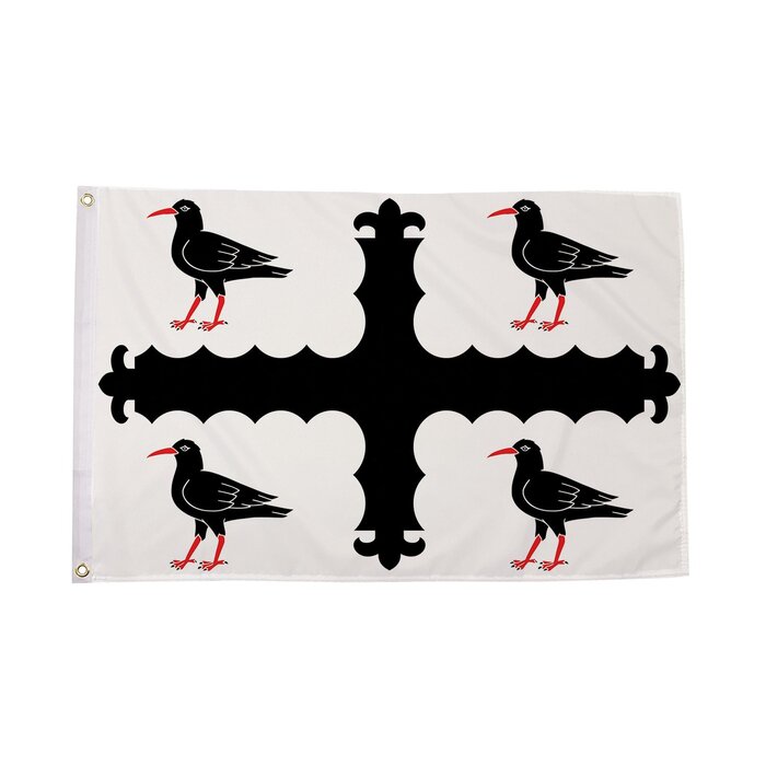 Flintshire Flag