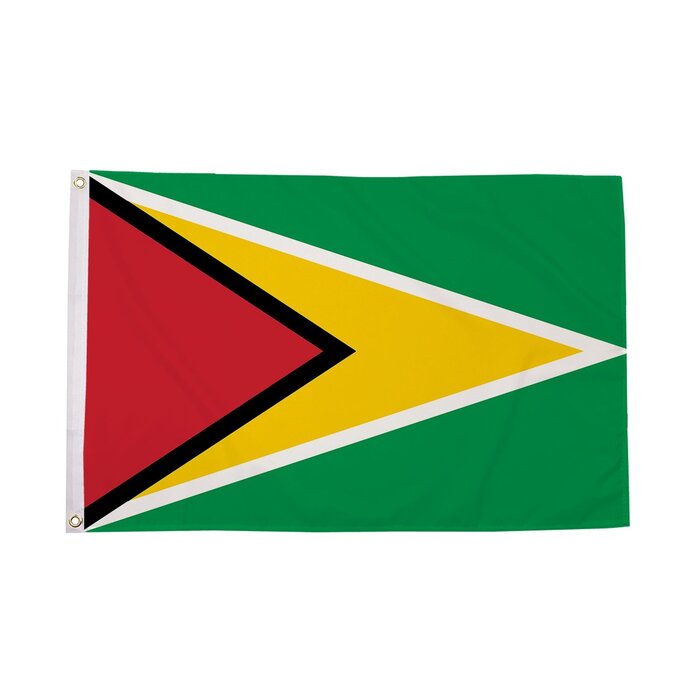 Guyana Flag