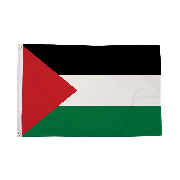 Palestine Flag