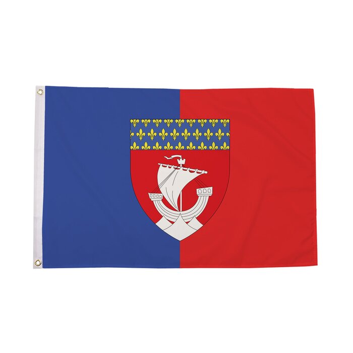 Paris Flag